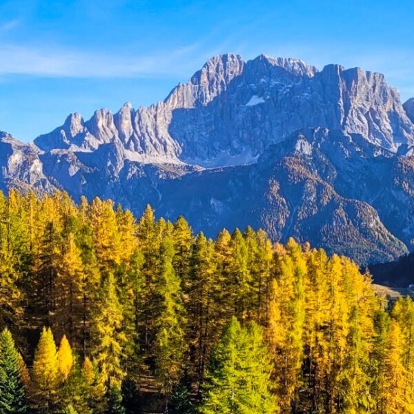 How we work Autumn Scenery at Sass di Roccia, Ronch with Monte Civetta in the distance