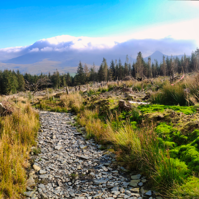 Snowdonia Way — Low Route Mentored Expedition oppo 4