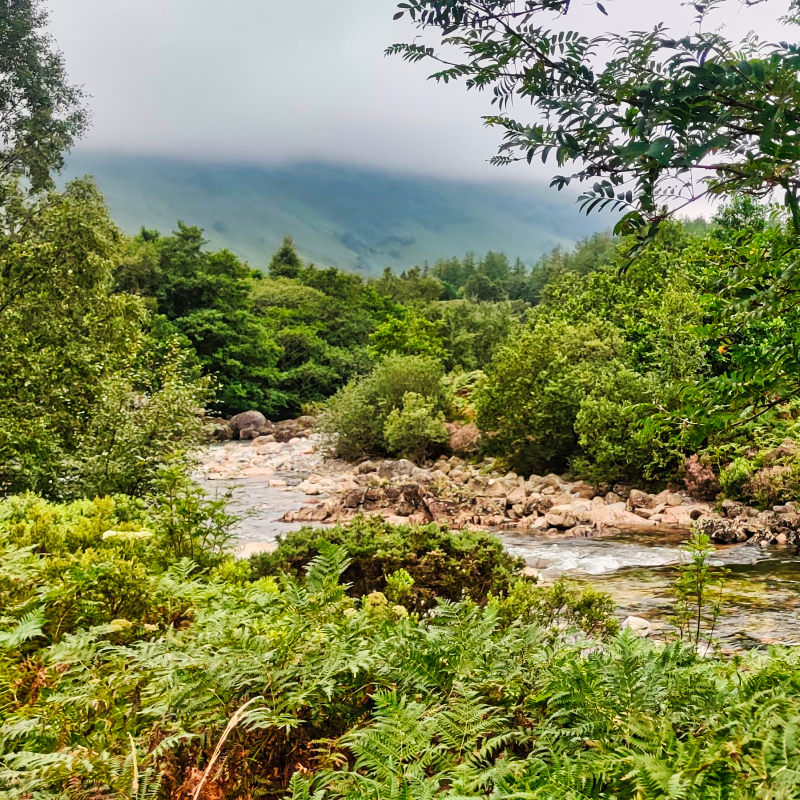 Snowdonia Way — Low Route Mentored Expedition img 20250814 132344