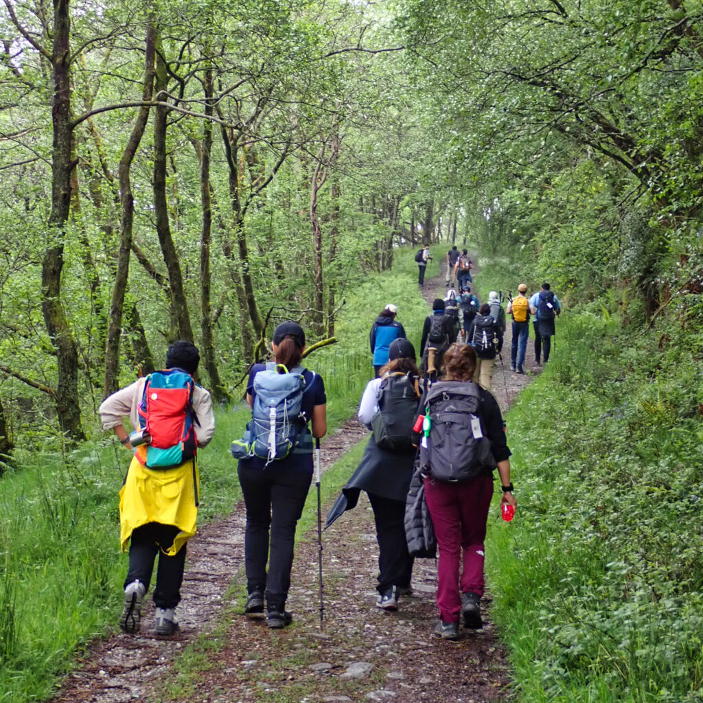 West Highland Way — Low Route Mentored Expedition p5150594